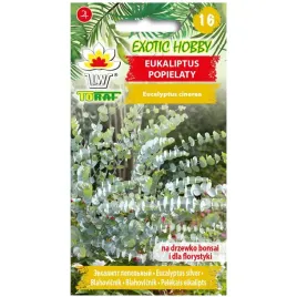eukaliptus-popielaty-nasiona-20-sztuk-toraf-odporny-na-mroz-zimnozielony