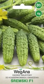 ogorek-sremski-f1-nasiona-4-g-wegana-ogorek-sremski-f1