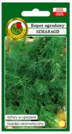 koper-ogrodowy-szmaragd-szmaragd-nasiona