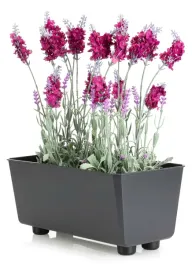 skrzynka-na-kwiaty-antracytowa-na-nozkach-prostokatna-podluzna-29x17-cm