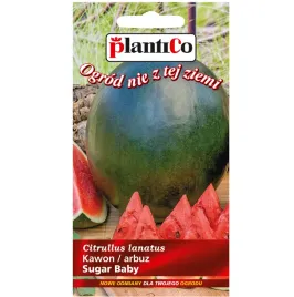 plantico-arbuz-kawon-sugar-baby-2g-smaczny-soczysty-do-uprawy-w-polsce-nr-1