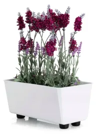 biala-doniczka-prostokatna-donica-nozki-na-parapet-elegancka-29x17-cm