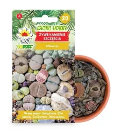 zywe-kamienie-szczescia-nasiona-toraf-mix