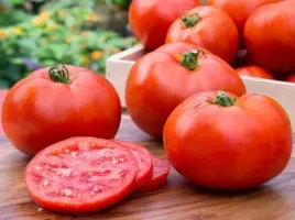 pomidor-gigant-gruntowy-pomidory-nasiona-1-g