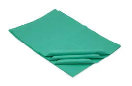 bibula-gladka-ozdobna-38x50-zielona-500szt-bibulka