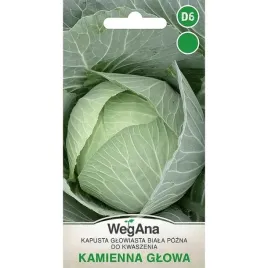 kapusta-glowiasta-biala-kamienna-glowa-3g-pozna-nasiona-wegana