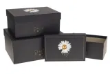 zestaw-pudelek-daisy-3-szt