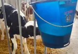 calf-buddy-lacznik-1-szt-rodzaj-inny-stan-opakowania-oryginalne