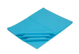 bibula-gladka-ozdobna-50x70-lazurowa-500sz-bibulka