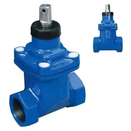 zasuwa-gwintowana-do-wody-pitnej-dn-50-2-miekkouszczelniona