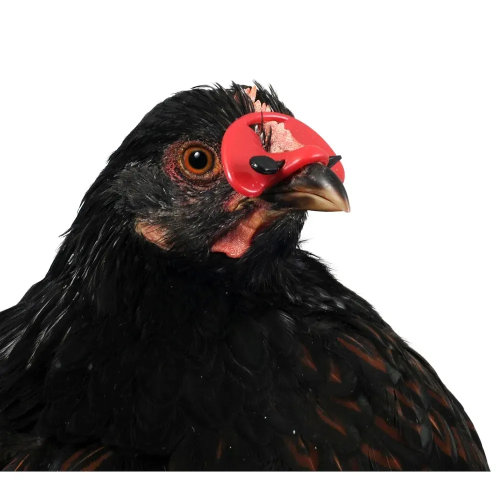 oslonki-na-dzioby-100-szt