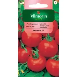 pomidor-gruntowy-harzfeuer-f1-vilmorin-03g-wczesny-odporny-przepyszny