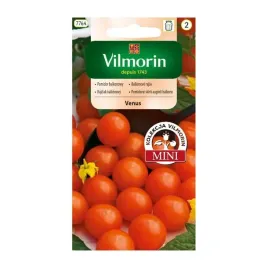 pomidor-koktajlowy-venus-vilmorin-03g-do-skrzynek-przepyszny-cherry