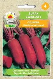 burak-czerwony-cwiklowy-ciemno-czerwony-cylindra-nasiona-podluzny-na-soki