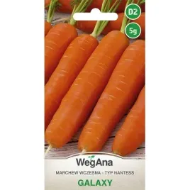 marchew-galaxy-nasiona-5-g