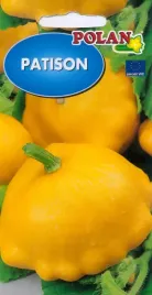 patisonorange-2g-nasiona-warzywa-pomarancz-dynia