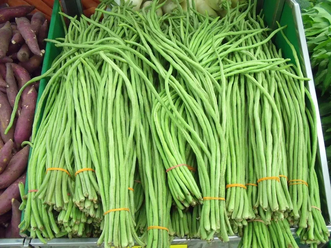fasolnik-chinski-nasiona-10g-pnos