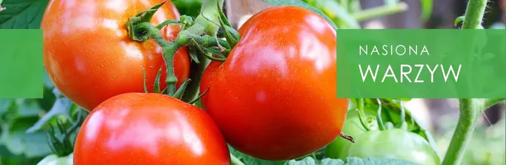 fasolnik-chinski-nasiona-10g-pnos-cykl-rozwojowy-rosliny-jednoroczna