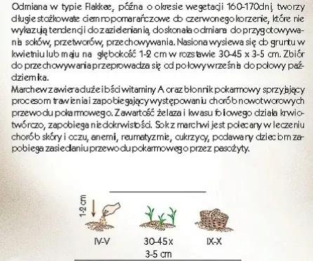 marchew-olympus-typ-flakee-nasiona-5-g