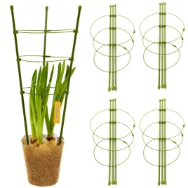 podpora-pierscieniowa-podporka-do-roslin-kwiatow-monstery-zamiokulkas-45cm