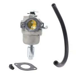 gaznik-briggsandstratton-591731-594593-794572