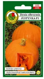 dynia-olbrzymia-justynka-nasiona-2-g-pnos