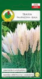 trawa-ozdobna-trawa-pampasowa-biala-01g-nasiona-pnos