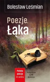 polska-poezja-xxw-poezje-laka-boleslaw-lesmian