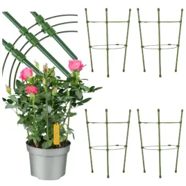 podpora-pierscieniowa-podporka-do-roslin-kwiatow-monstery-zamiokulkas-30cm