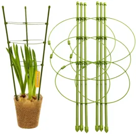 podpora-pierscieniowa-podporka-do-roslin-kwiatow-monstery-zamiokulkas-45cm