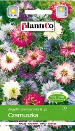 czarnuszka-damascenska-mix-miododajna-przyciaga-motyle-owady-pszczoly-1-g
