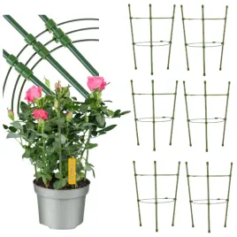 podpora-pierscieniowa-podporka-do-roslin-kwiatow-monstery-zamiokulkas-30cm