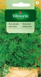 vilmorin-nasiona-ruta-zwyczajna-02g-wieloletnia-na-rabaty-lecznicza-ziola