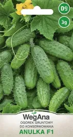 ogorek-anulka-nasiona-3-g-wegana-ogorek-anulka