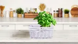 koszyk-wiklinowy-30x20x15-bialy-srednica-34-cm
