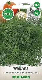 koper-moravan-5-g-wegana-koper-moravan
