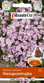 niezapominajka-rozowa-plantico-0-5g-nasiona-niezapominajki-dwuletniej