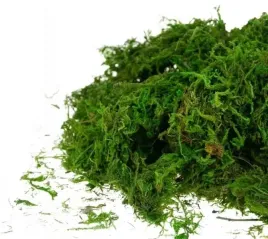 dekoracyjny-mech-sypki-zielony-30-g-dekoracja-diy-wielkanoc-stroik-ozdoba