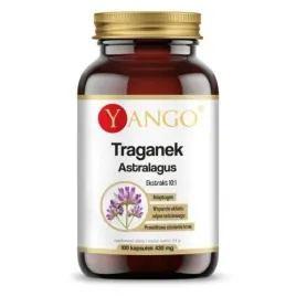 yango-traganek-astragalus-ekstrakt-10-1-100kaps