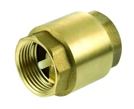 zawor-zwrotny-1-cal-trzpien-plastikowy-grzybek