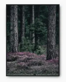 plakat-bez-ramy-a4-21x30-imp-las-11