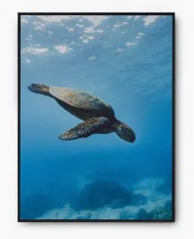 plakat-bez-ramy-a4-21x30-imp-morze-06