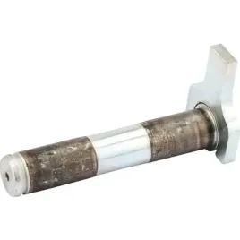 3132513-sworzen-fn-d25x122-139-oryginal-lemken
