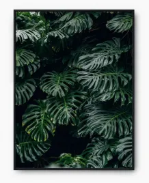 plakat-bez-ramy-a4-21x30-imp-liscie-09