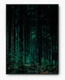 plakat-bez-ramy-a4-21x30-imp-las-15