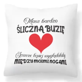 super-poduszka-uroczy-prezent-na-walentynki-bc-walentynki-44