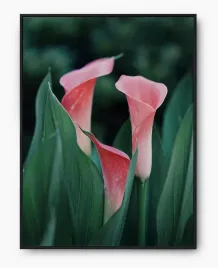 plakat-bez-ramy-a4-21x30-imp-kwiaty-03