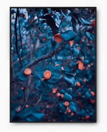 plakat-bez-ramy-a4-21x30-imp-kwiaty-13