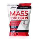 immortal-whey-mass-explosion-1000g-gainer-wegle