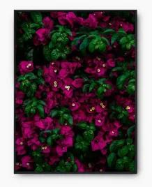 plakat-bez-ramy-a4-21x30-imp-kwiaty-12
